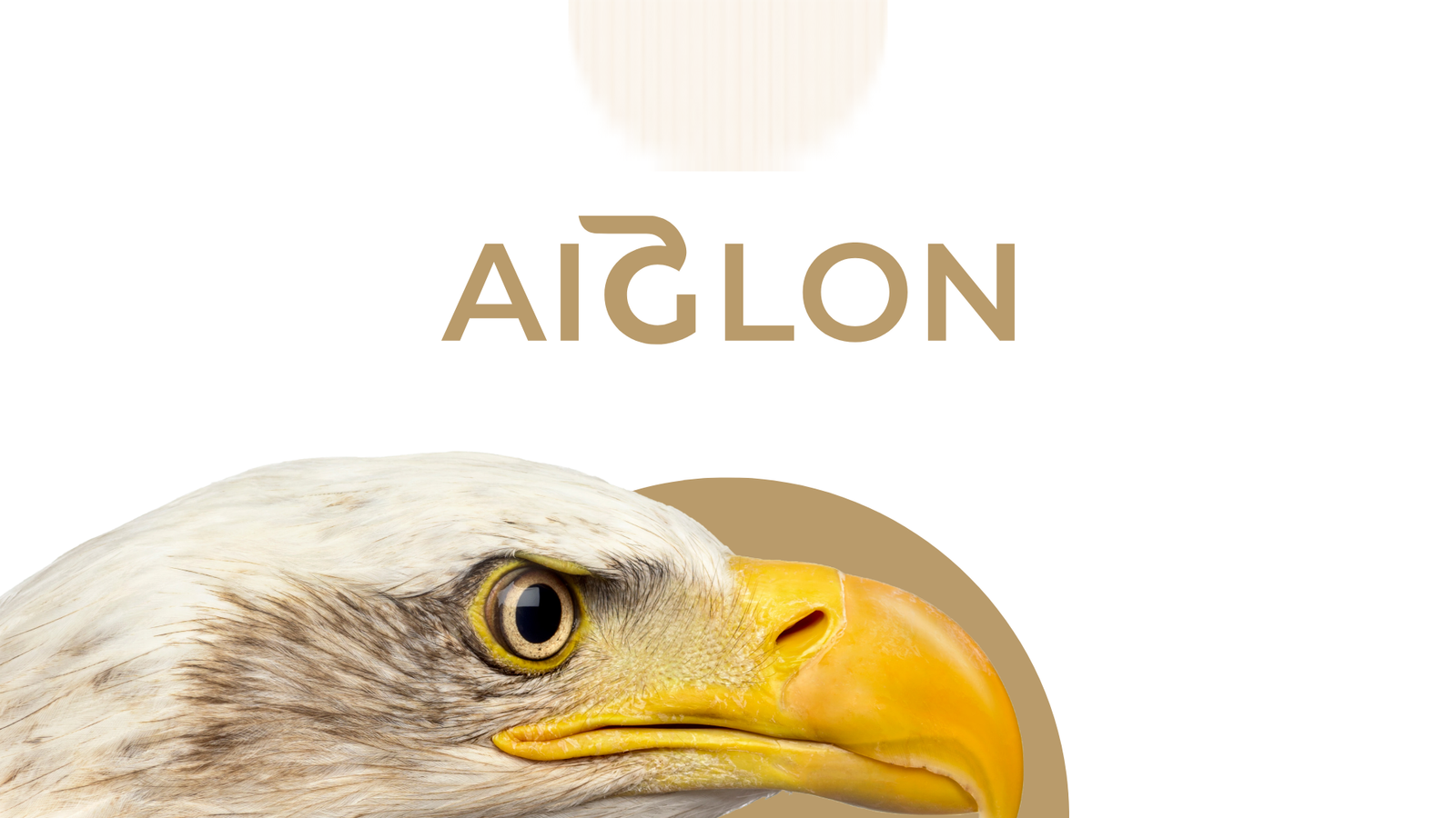 MRKT_BRND_Aiglon_BrandGuidelines_V1_20240224.pdf